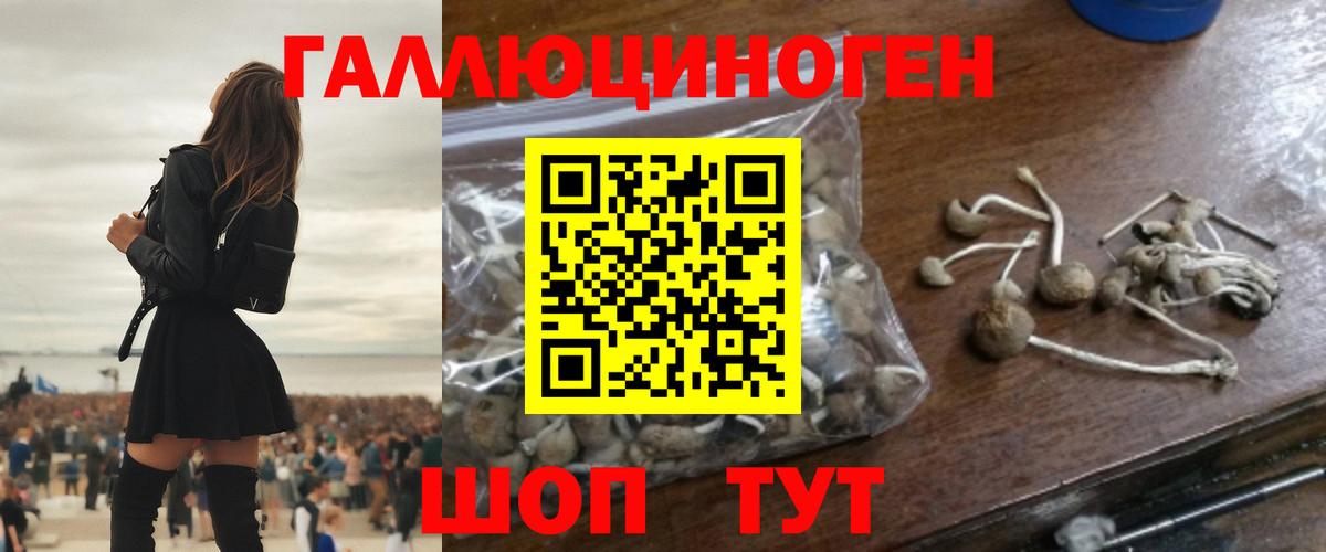 Зерноград  Галлюциногенные грибы GOLDEN TEACHER  Галлюциногенные грибы мицелий  Вход с VPN 